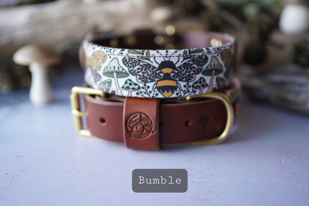 Bumble - Luxury Buckle Collar - Canvas