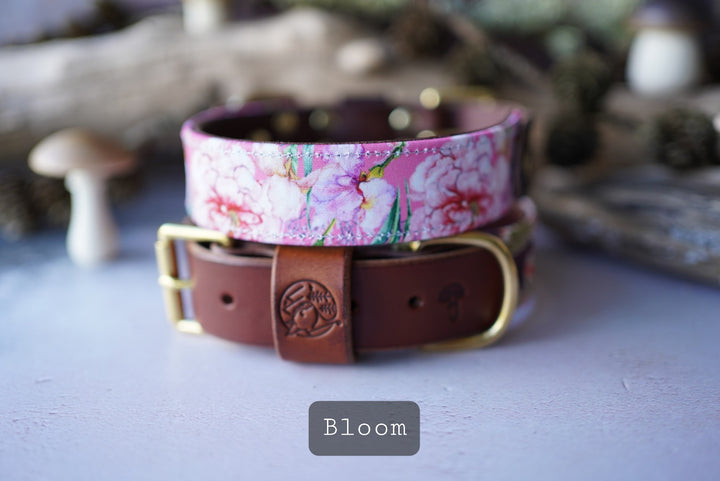 Bloom - Luxury Buckle Collar - Canvas