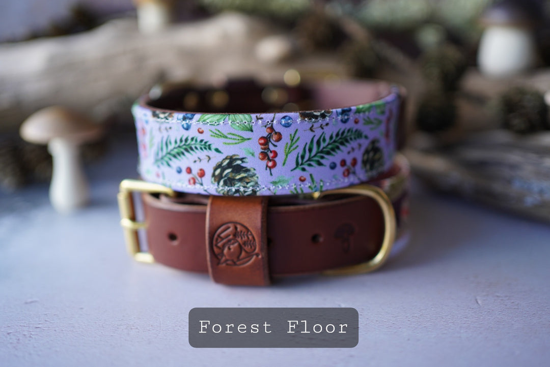 Forest Floor - Luxury Buckle Collar - Canvas