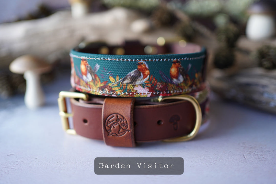 Garden Visitor - Luxury Buckle Collar - Canvas
