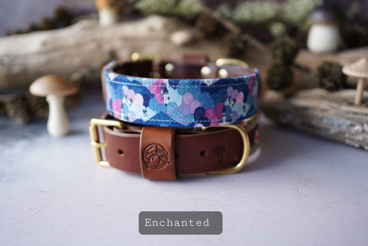 Enchanted - Luxury Buckle Collar - Velvet