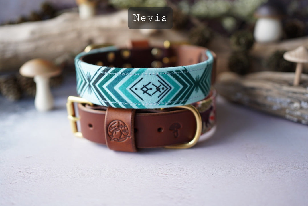 Nevis - Luxury Buckle Collar - Velvet