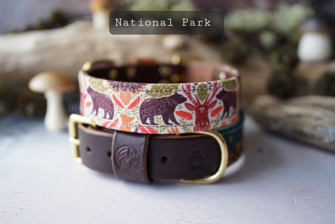National Park - Luxury Buckle Collar - Canvas