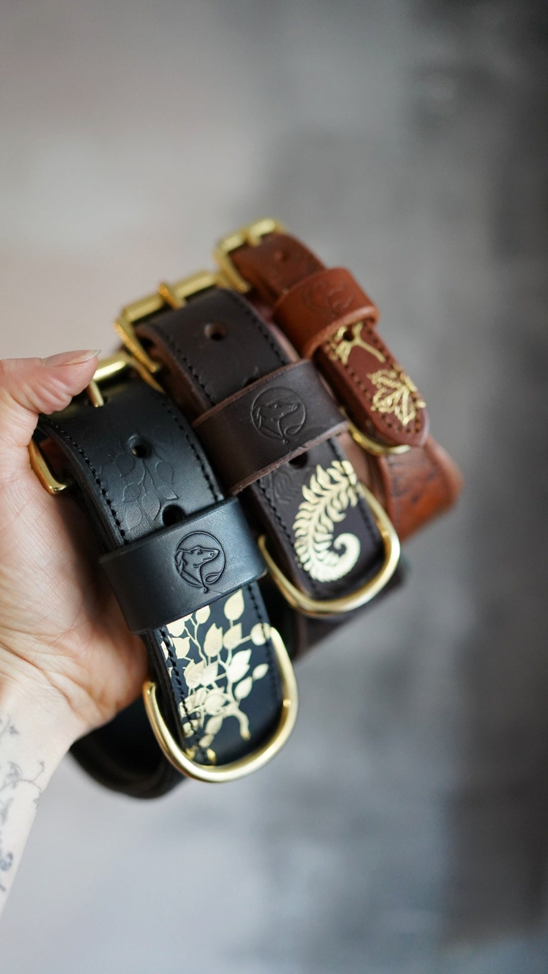 Embossed Tapered Leather Collars - all sizes, not just for hounds!