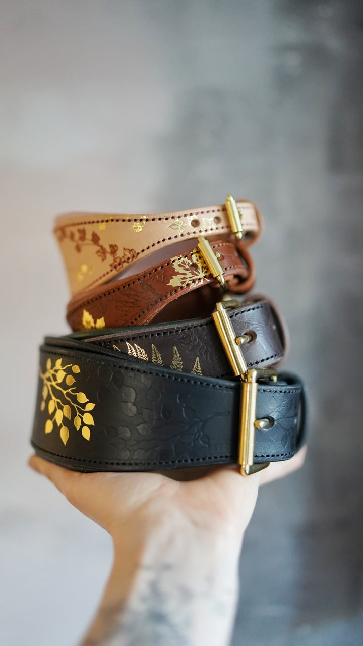 Embossed Tapered Leather Collars - all sizes, not just for hounds!