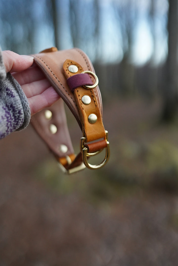 Colourblock Soft Adjustable Buckle Slips - Slim and Hound