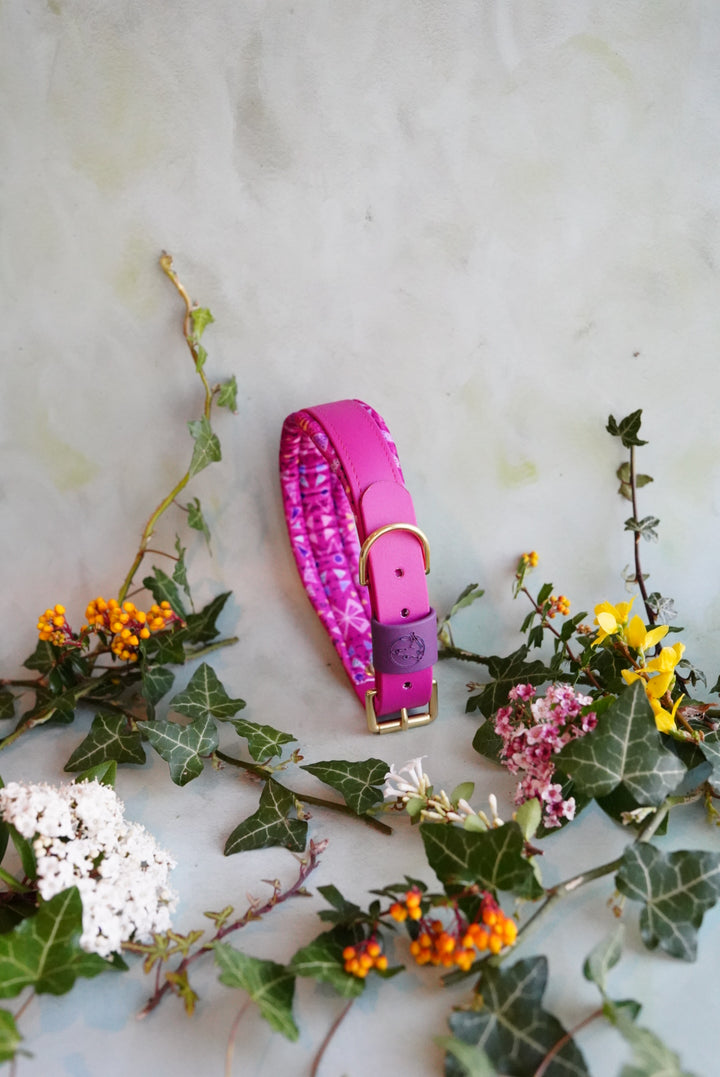Fireweed Squashie - Padded Biothane Collar - Regular, Slim and Hound