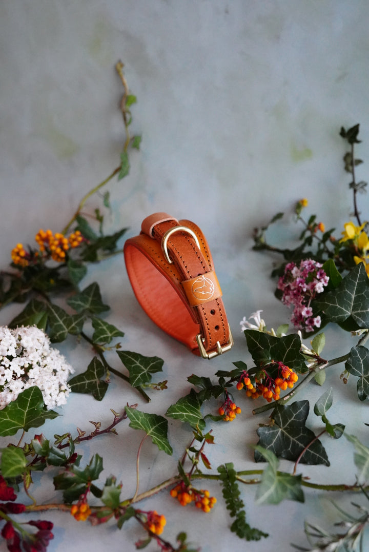 Colourblock Soft Leather Collars - Slim and Hound