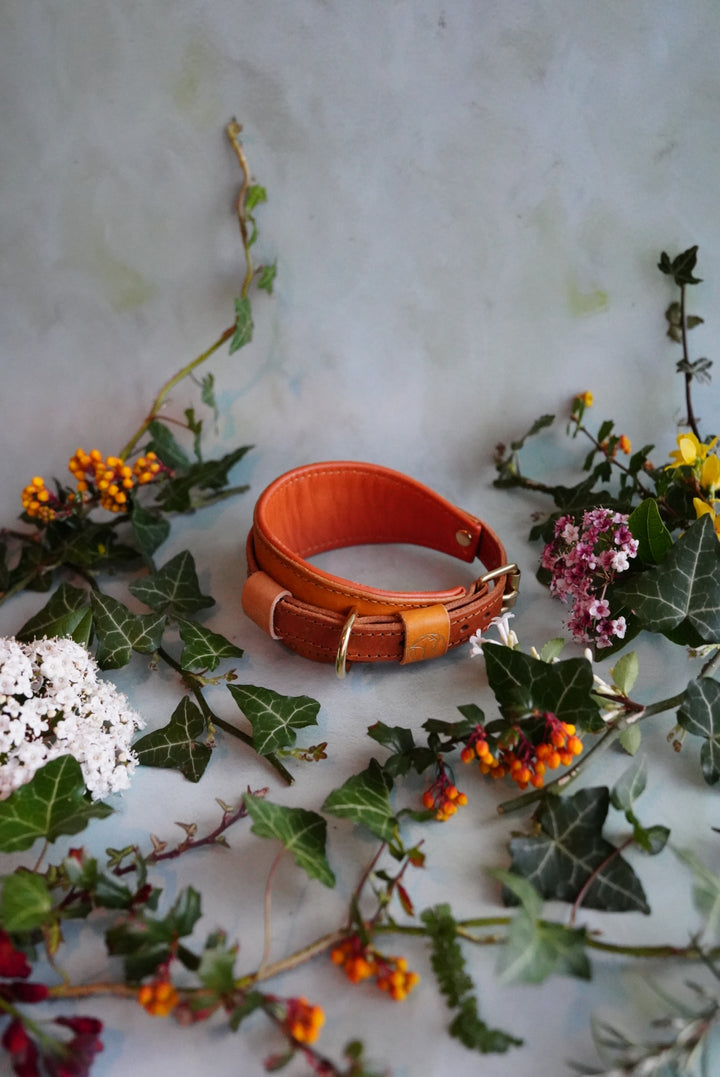 Colourblock Soft Leather Collars - Slim and Hound