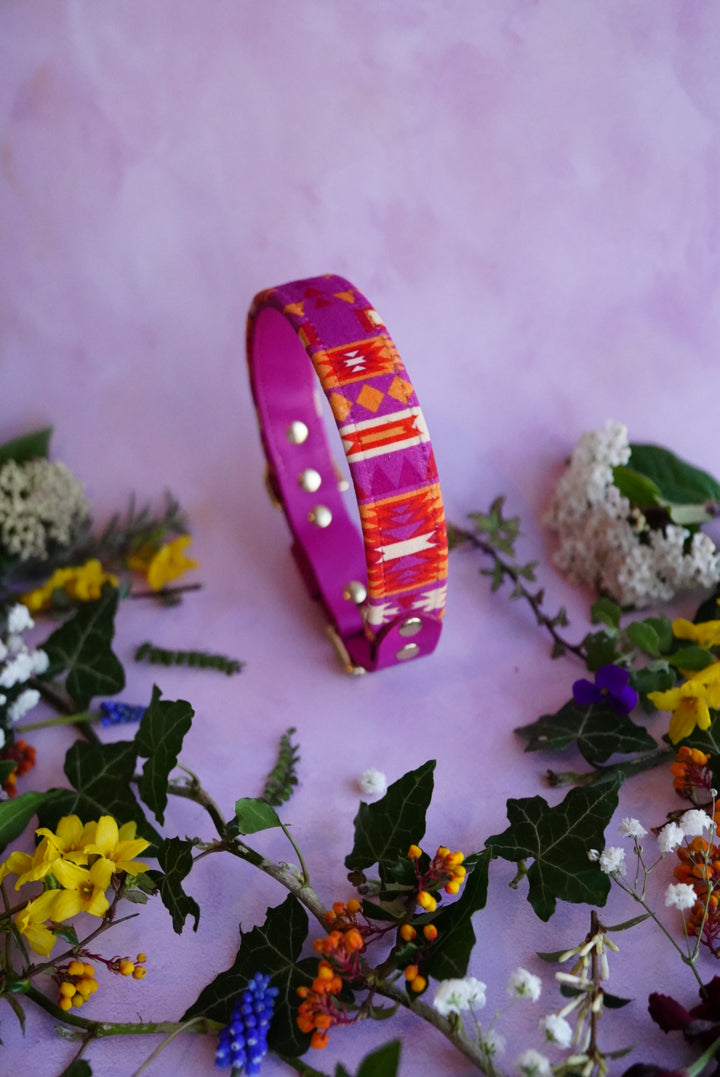 Alpenglow - Luxury Buckle Collar - Velvet