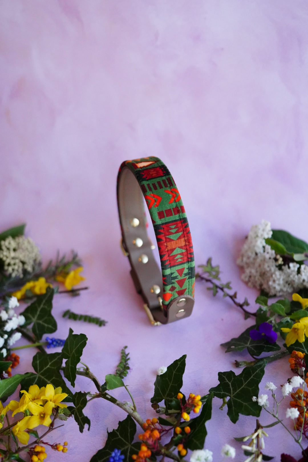 Tundra - Luxury Buckle Collar - Velvet