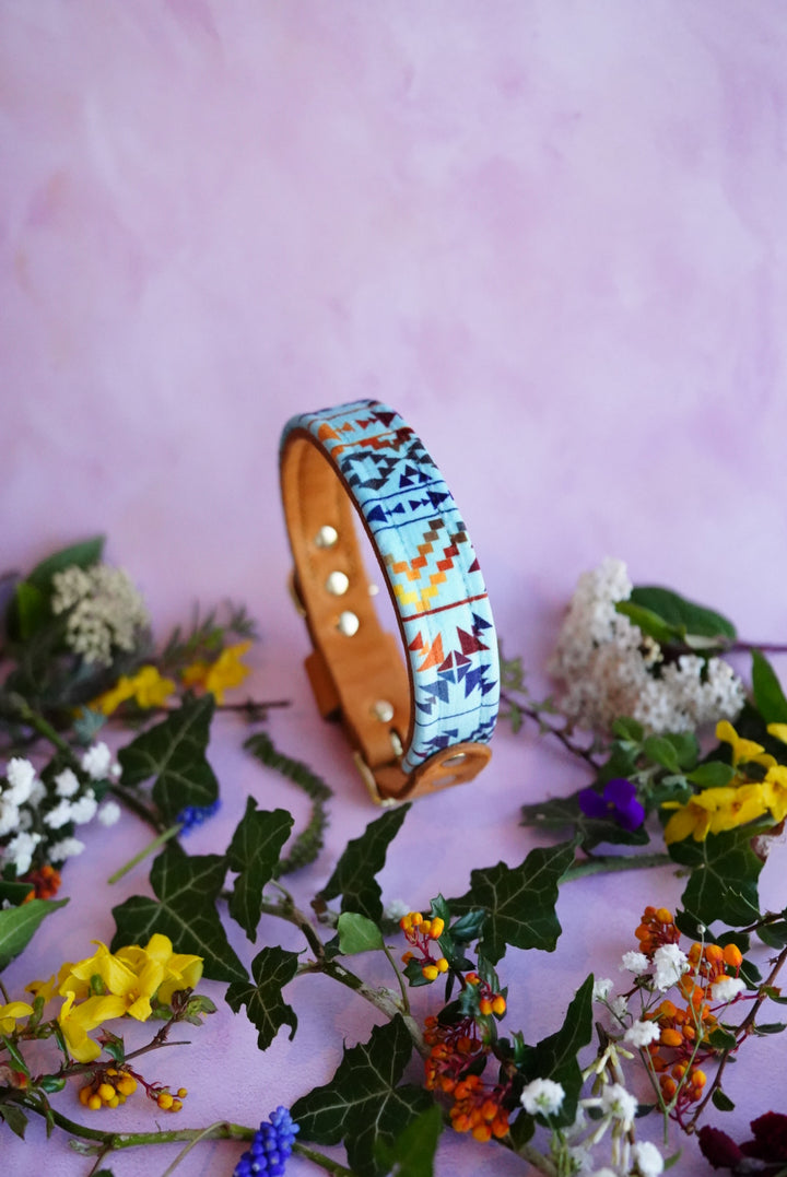 Ravine - Luxury Buckle Collar - Velvet