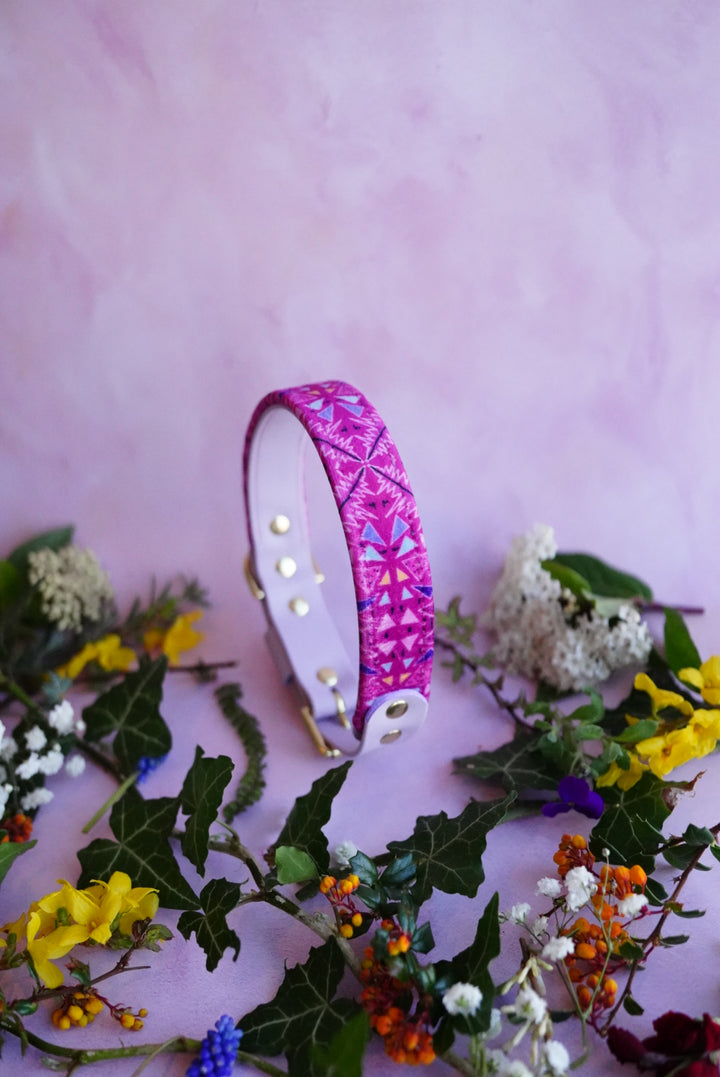 Fireweed - Luxury Buckle Collar - Velvet