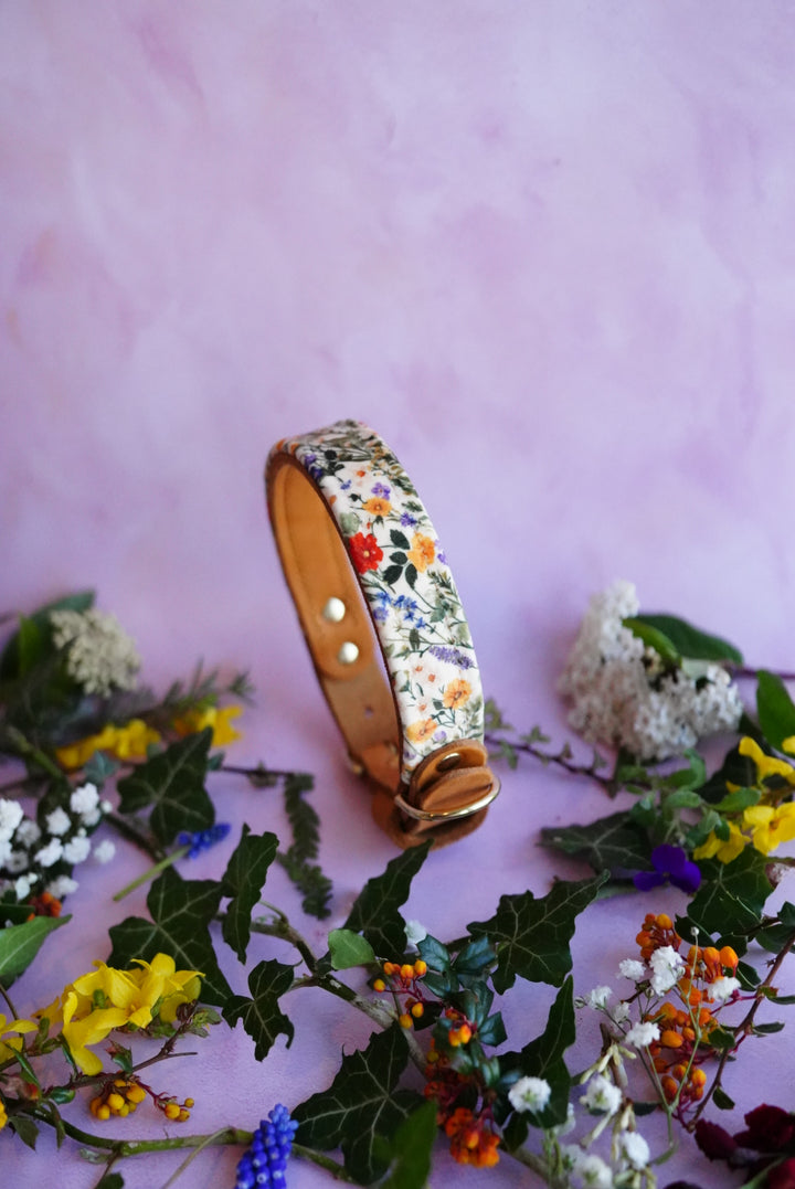 Wildflowers - Luxury Buckle Collar - Velvet
