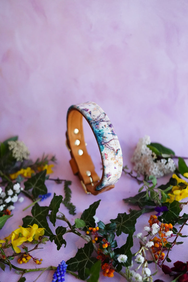Aviary - Luxury Buckle Collar - Velvet