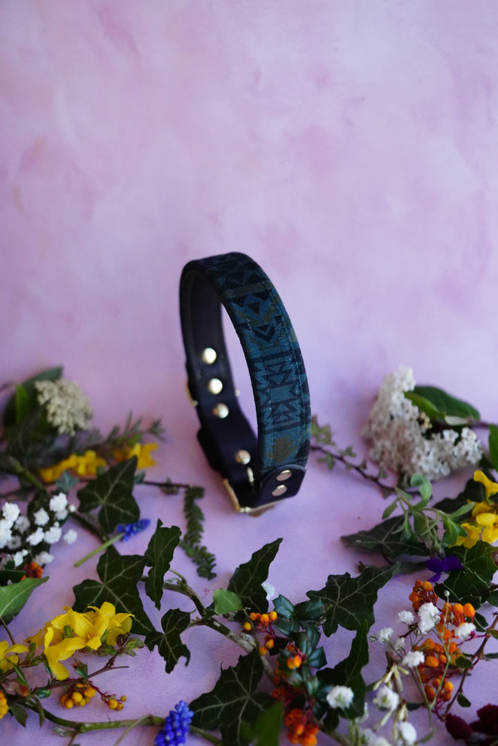 Ascent - Luxury Buckle Collar - Velvet