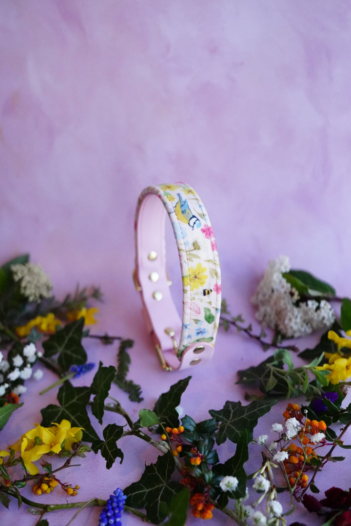 Garden Friends - Luxury Buckle Collar - Velvet