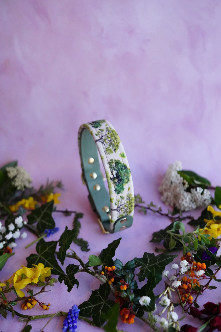 Orchard - Luxury Buckle Collar - Velvet
