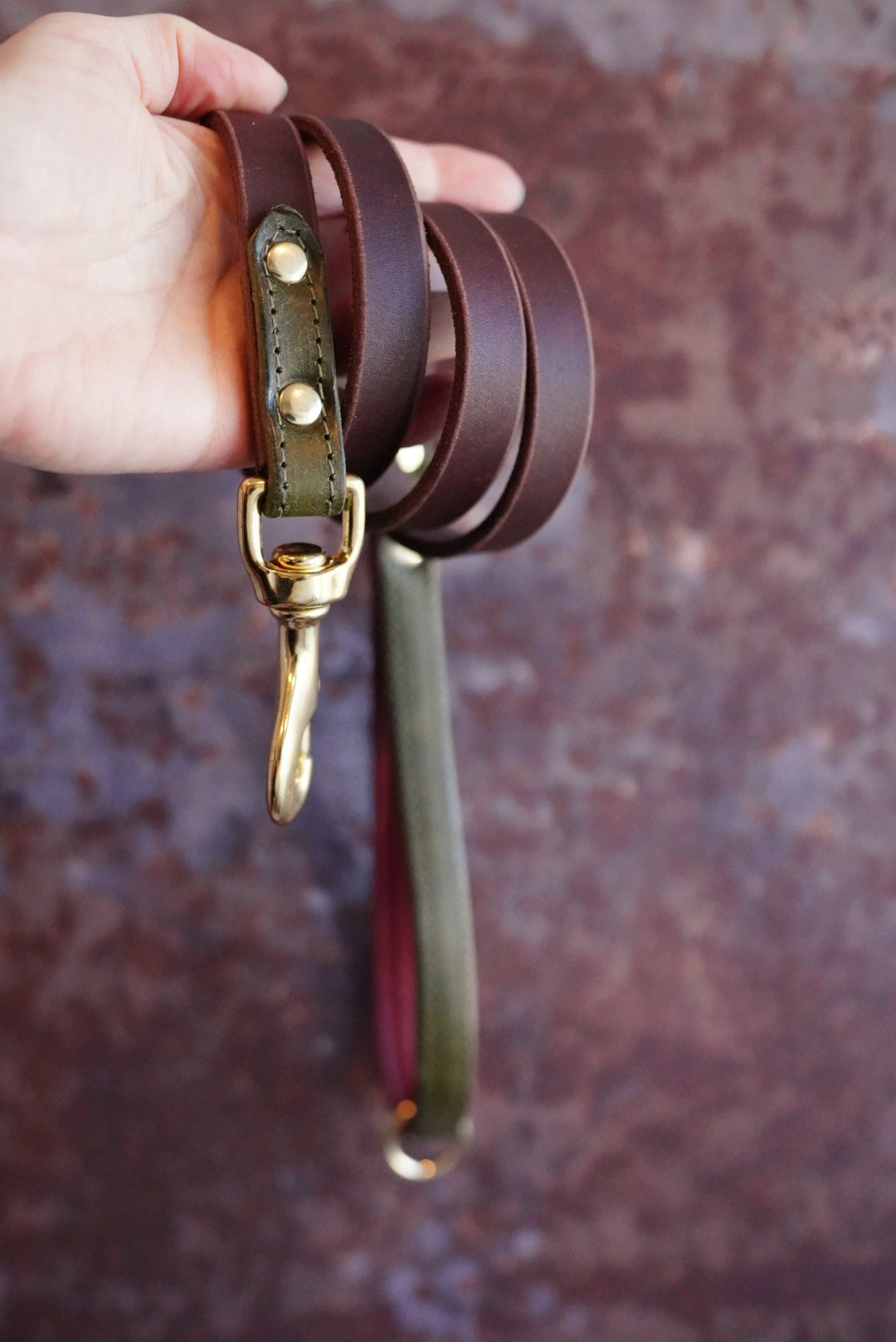 Colourblock Leather Leads - Clip or Slip