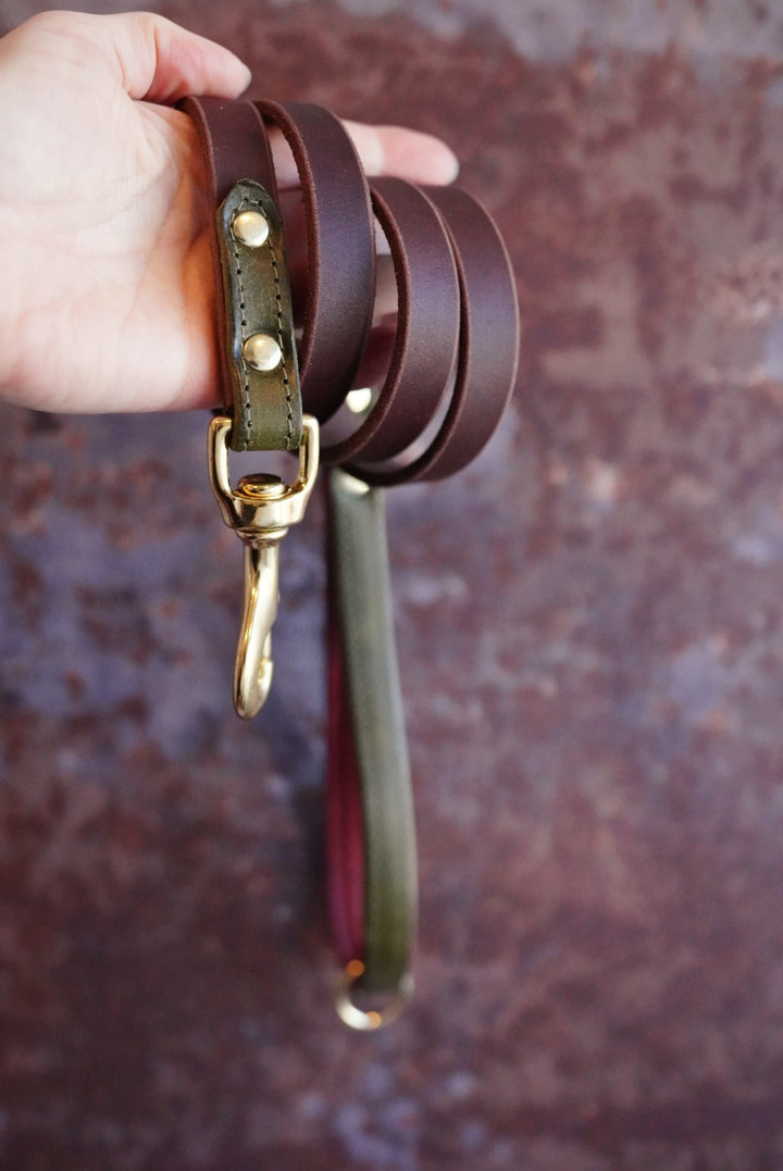 Colourblock Leather Leads - Clip or Slip