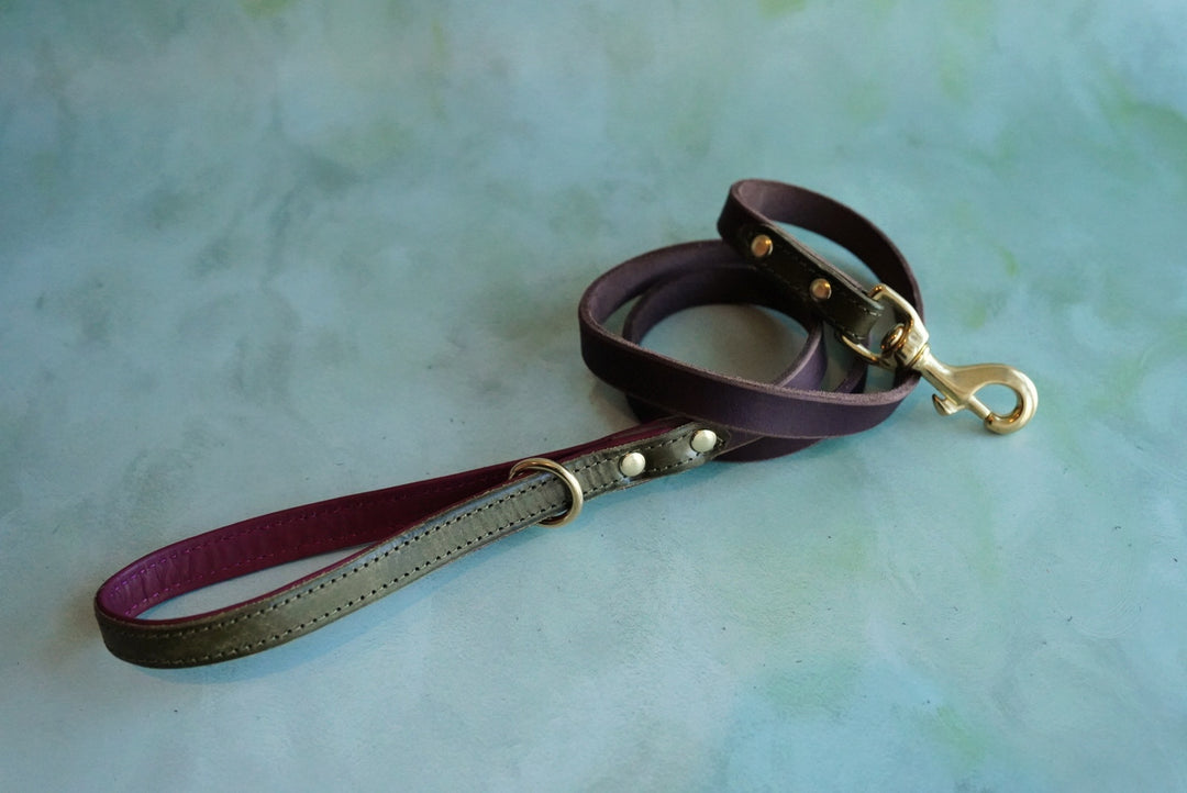 Colourblock Leather Leads - Clip or Slip