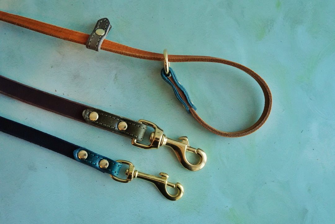 Colourblock Leather Leads - Clip or Slip