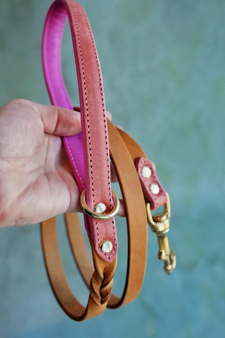 Colourblock Leather Leads - Clip or Slip