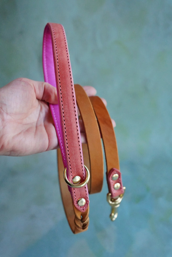 Colourblock Leather Leads - Clip or Slip