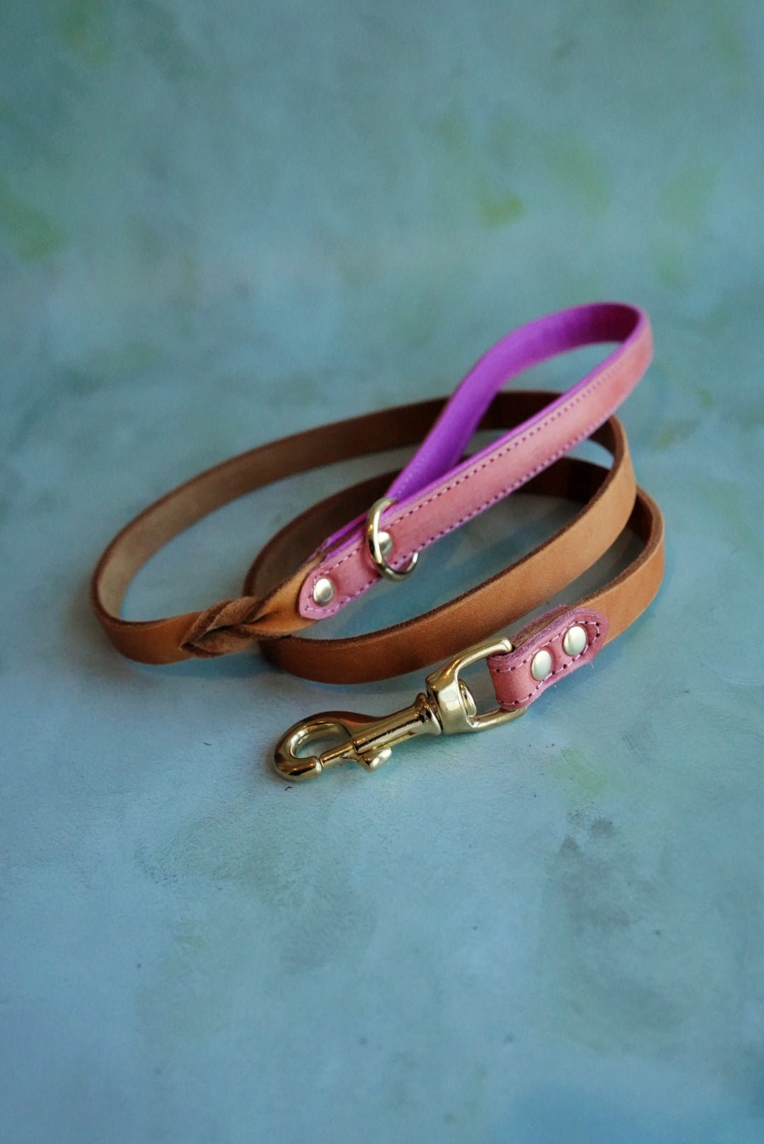 Colourblock Leather Leads - Clip or Slip