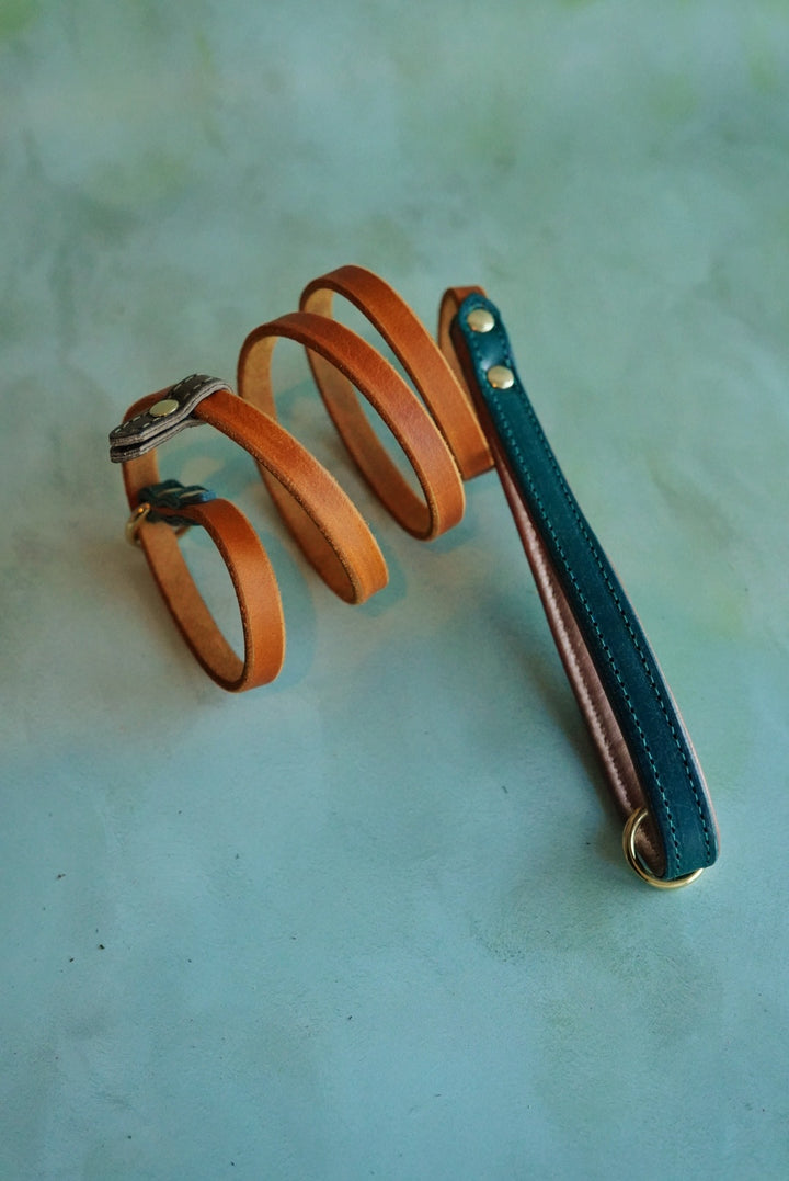 Colourblock Leather Leads - Clip or Slip