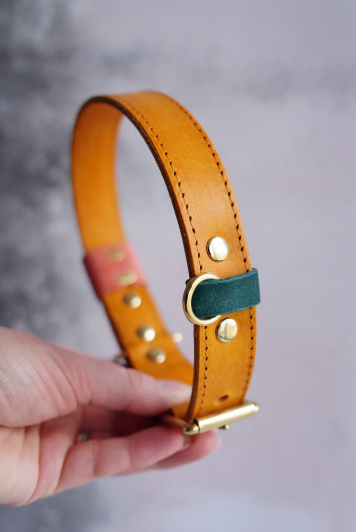 Colourblock Soft Leather Collars - Regular/Straight