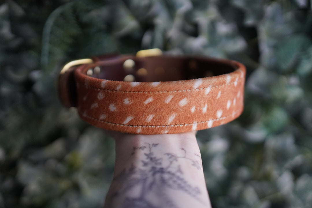 Fawn - Luxury Buckle Collar - Velvet