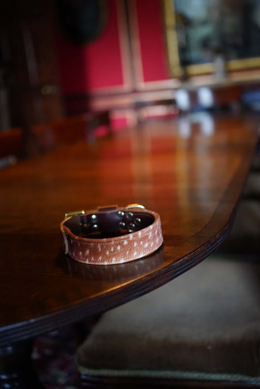 Fawn - Luxury Buckle Collar - Velvet