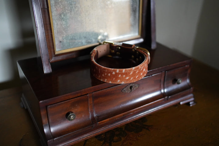 Fawn - Luxury Buckle Collar - Velvet