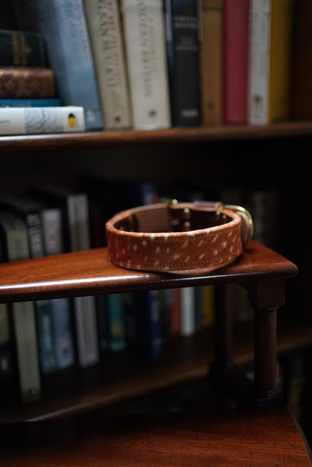 Fawn - Luxury Buckle Collar - Velvet