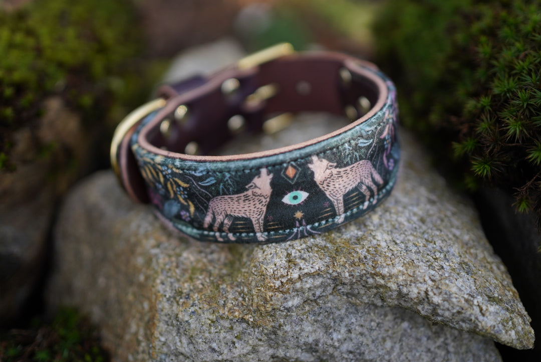 Sirius - Luxury Buckle Collar - Velvet