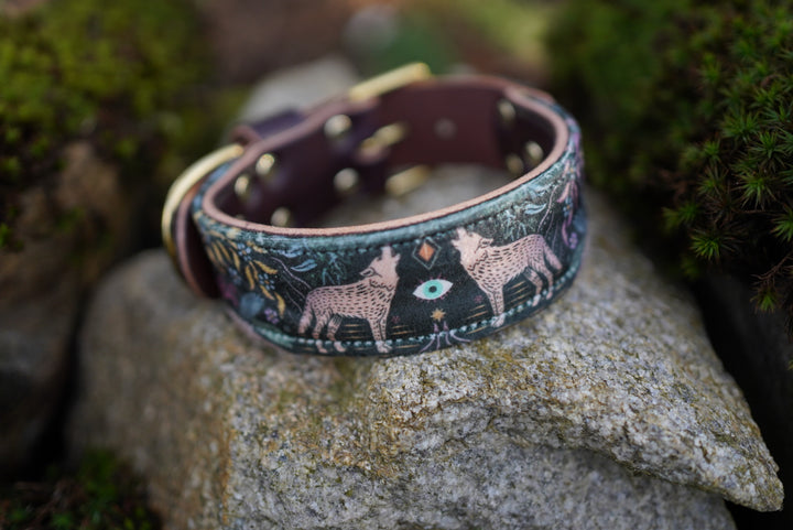 Sirius - Luxury Buckle Collar - Velvet