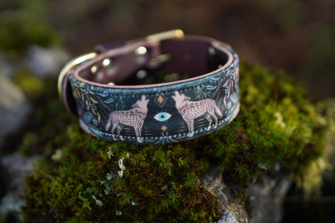 Sirius - Luxury Buckle Collar - Velvet