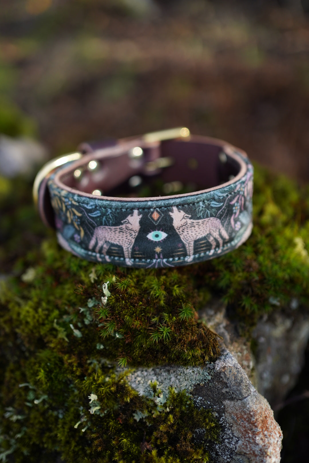 Sirius - Luxury Buckle Collar - Velvet