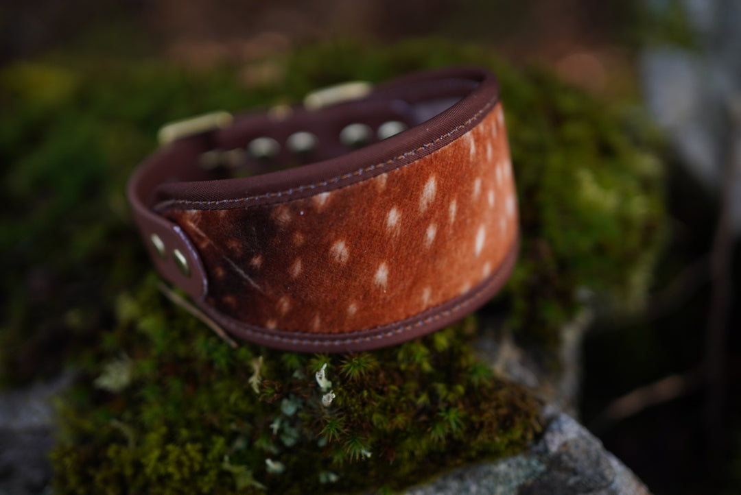 Fawn - Signature Collar - Velvet