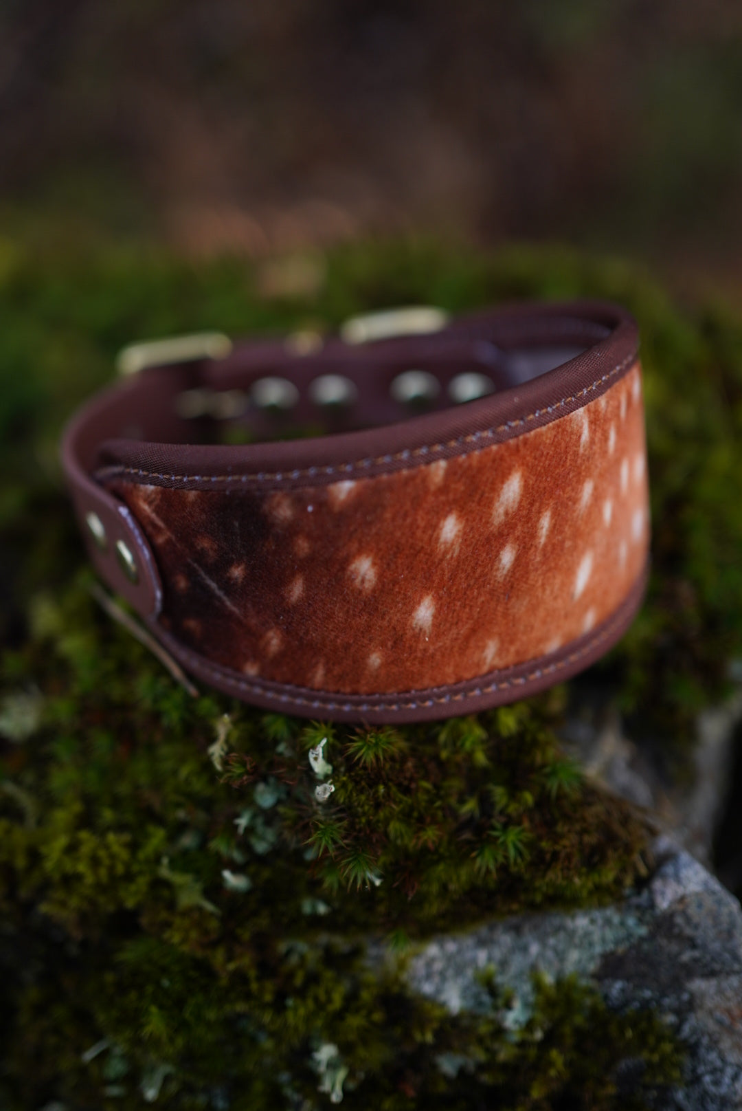 Fawn - Signature Collar - Velvet