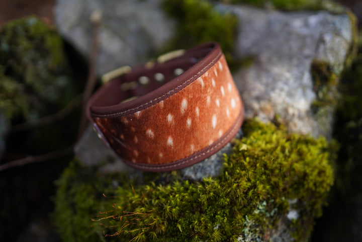 Fawn - Signature Collar - Velvet