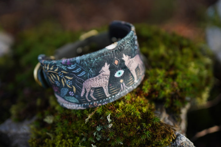 Sirius - Luxury Buckle Collar - Velvet