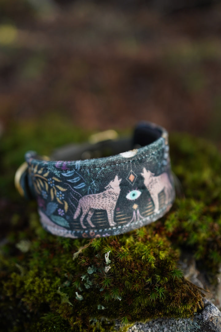 Sirius - Luxury Buckle Collar - Velvet