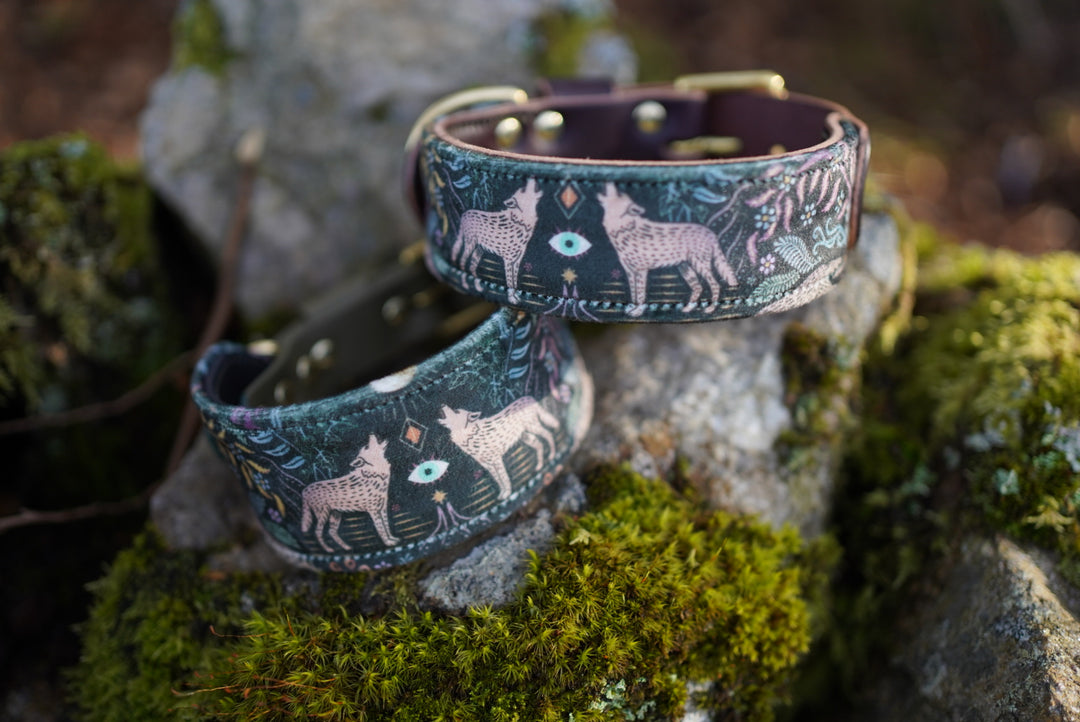 Sirius - Luxury Buckle Collar - Velvet