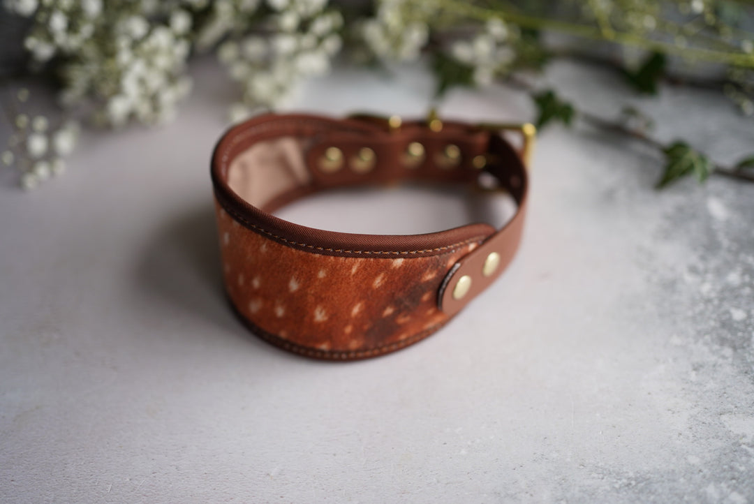 Fawn - Signature Collar - Velvet