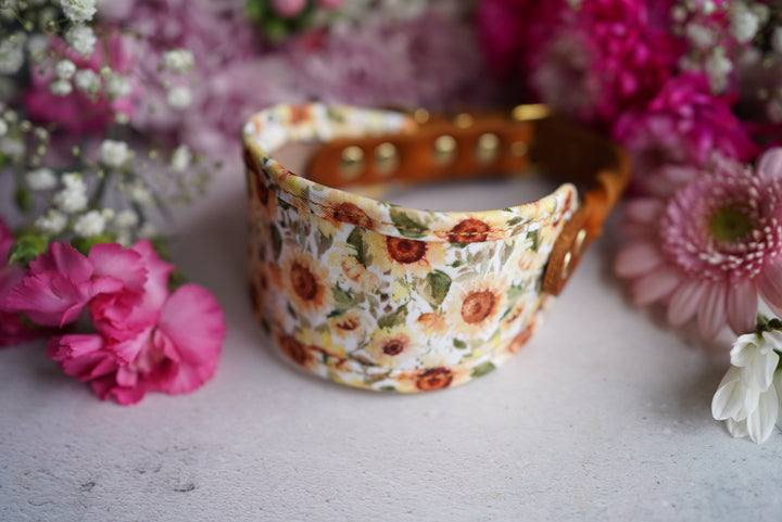 Phoenix - Signature Collar - Velvet