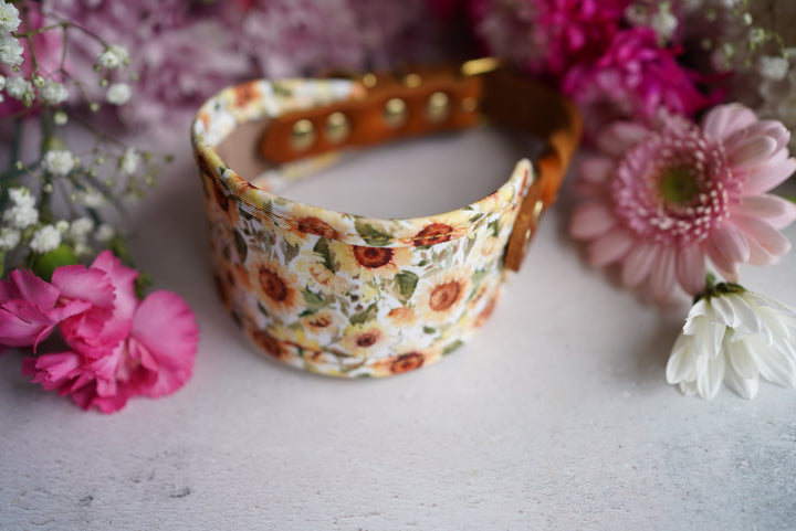 Phoenix - Signature Collar - Velvet