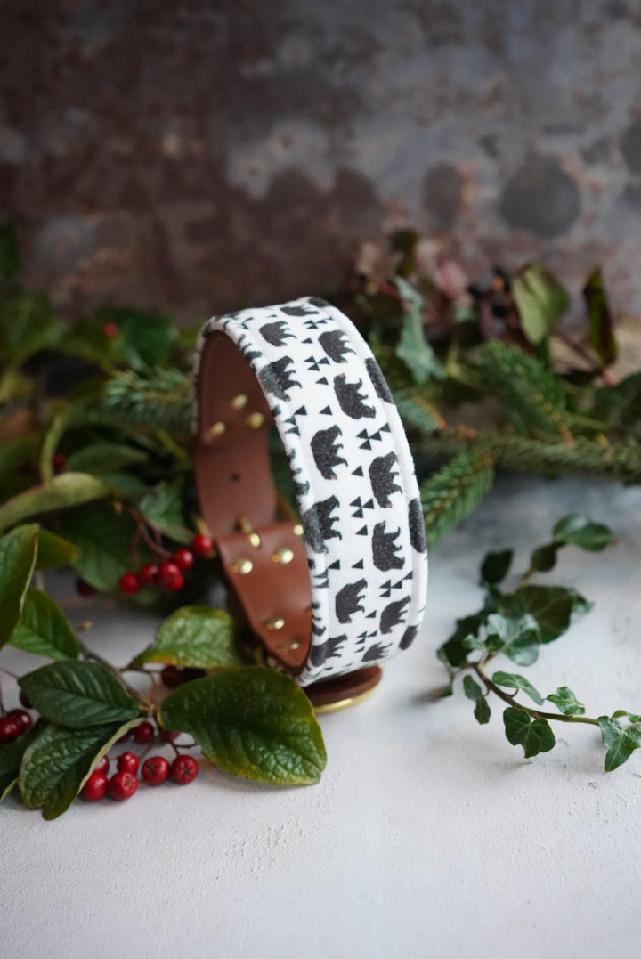 Kodiak - Luxury Buckle Collar - Velvet