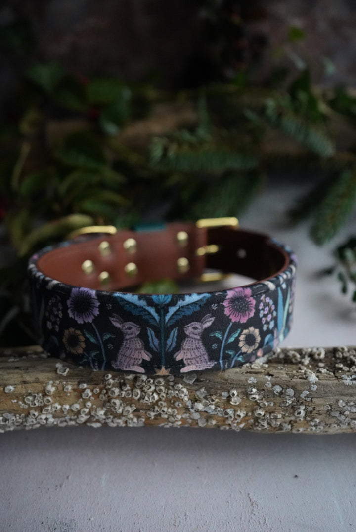 Lapin - Luxury Buckle Collar - Velvet
